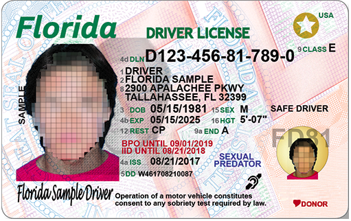florida registration lookup by drivers license